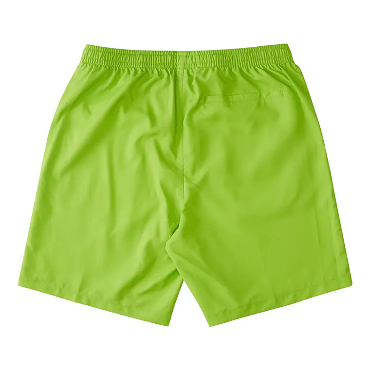 Walkshorts DC Mens Late Daze 18 2