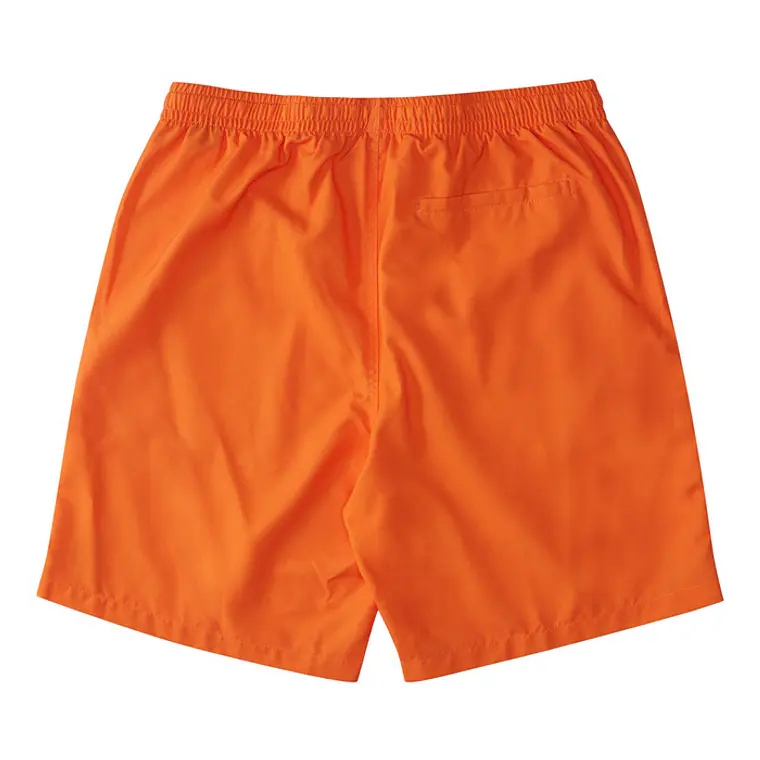 Walkshorts DC Mens Late Daze 18 2
