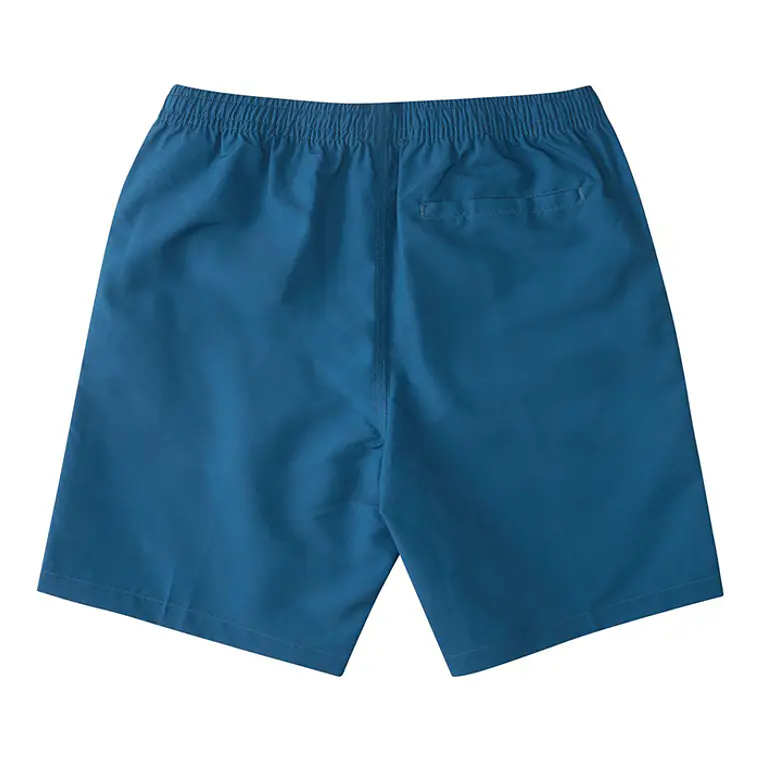 Walkshorts DC Mens Late Daze 18 4