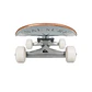 Skate Palming - thumbnail 2