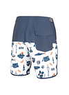 Boardshorts Picture Mens Andy 17 Boardshorts