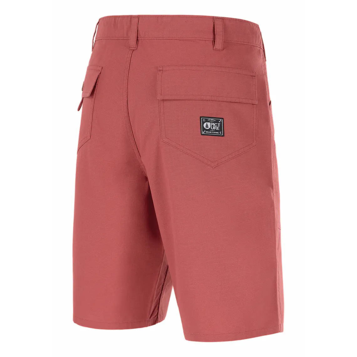 Walkshorts Picture Mens Earl Shorts 2