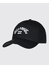 Bone Billabong Arch Snapback