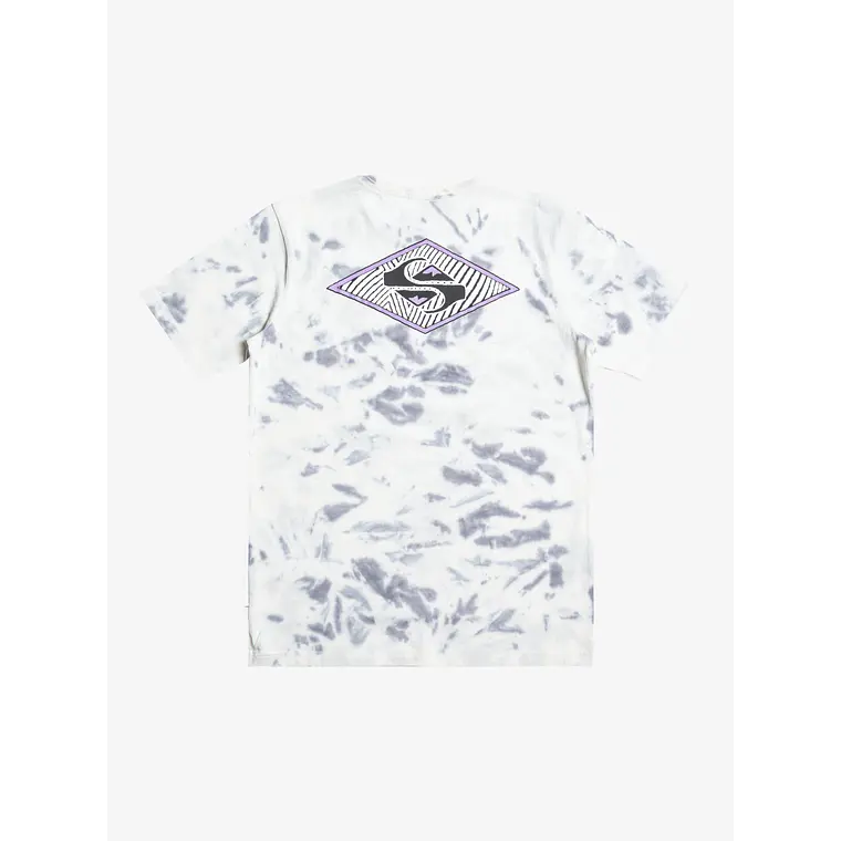 T-Shirt Quiksilver Kids Diamond Heritage Ss Yth 1