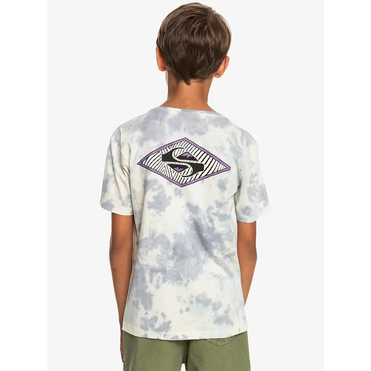 T-Shirt Quiksilver Kids Diamond Heritage Ss Yth 3