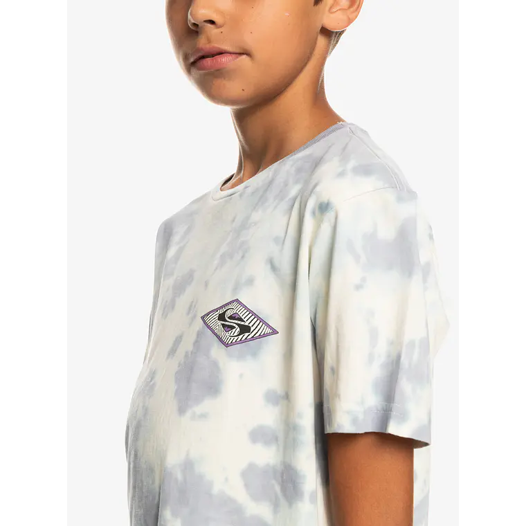 T-Shirt Quiksilver Kids Diamond Heritage Ss Yth 4