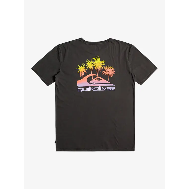 T-Shirt Quiksilver Mens Pastime Paradise Ss 1