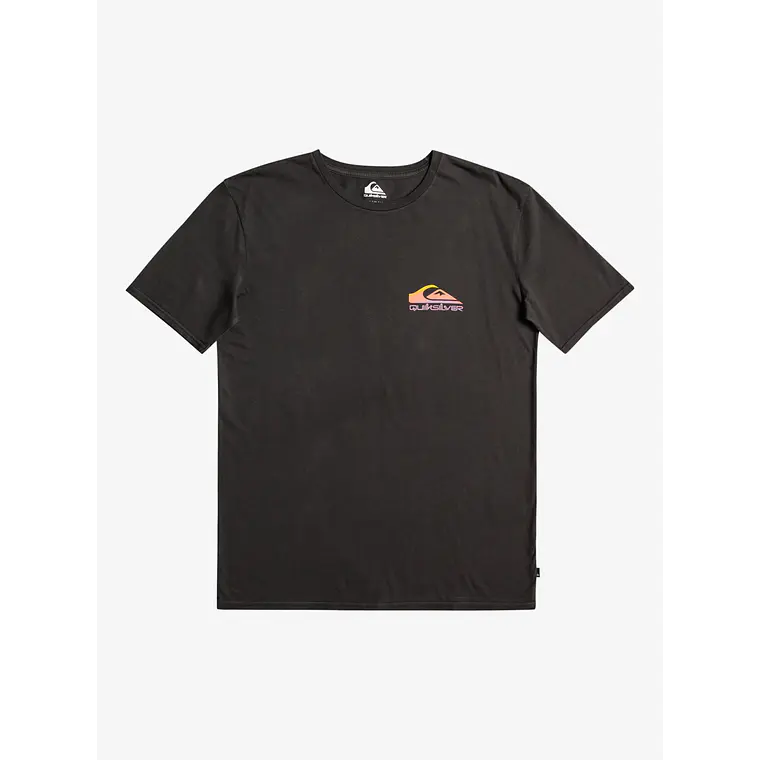 T-Shirt Quiksilver Mens Pastime Paradise Ss 2