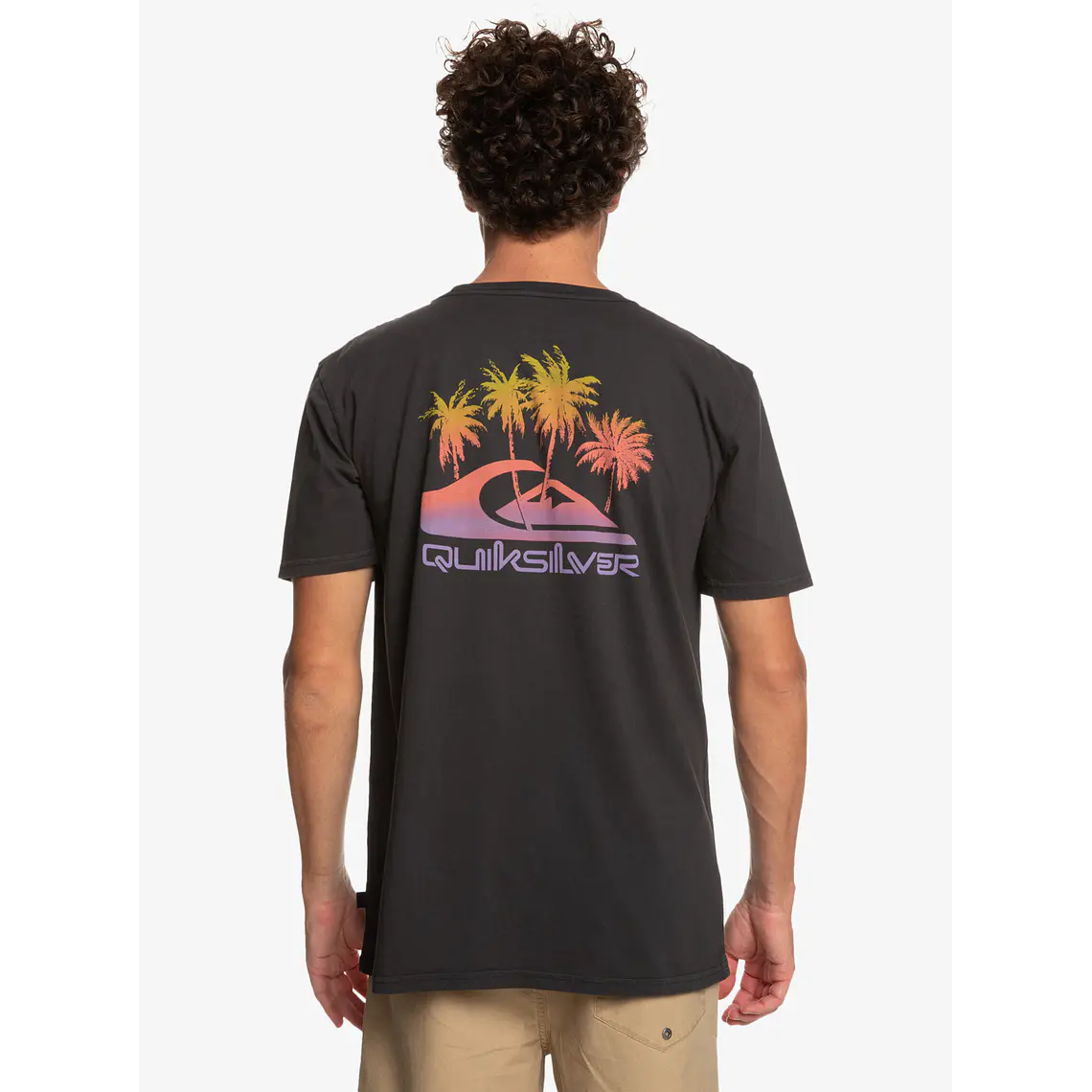 T-Shirt Quiksilver Mens Pastime Paradise Ss 3