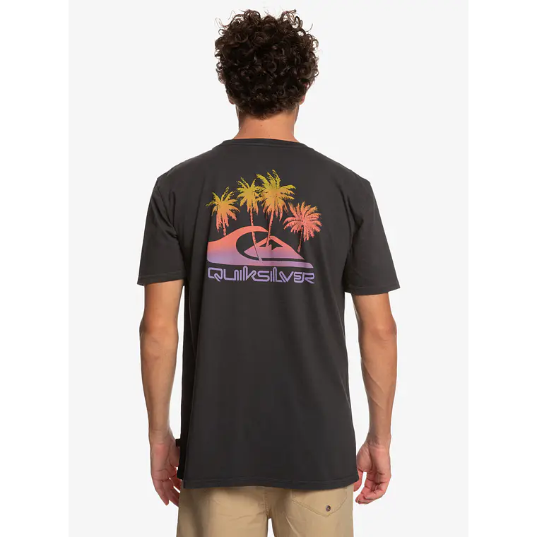 T-Shirt Quiksilver Mens Pastime Paradise Ss 3