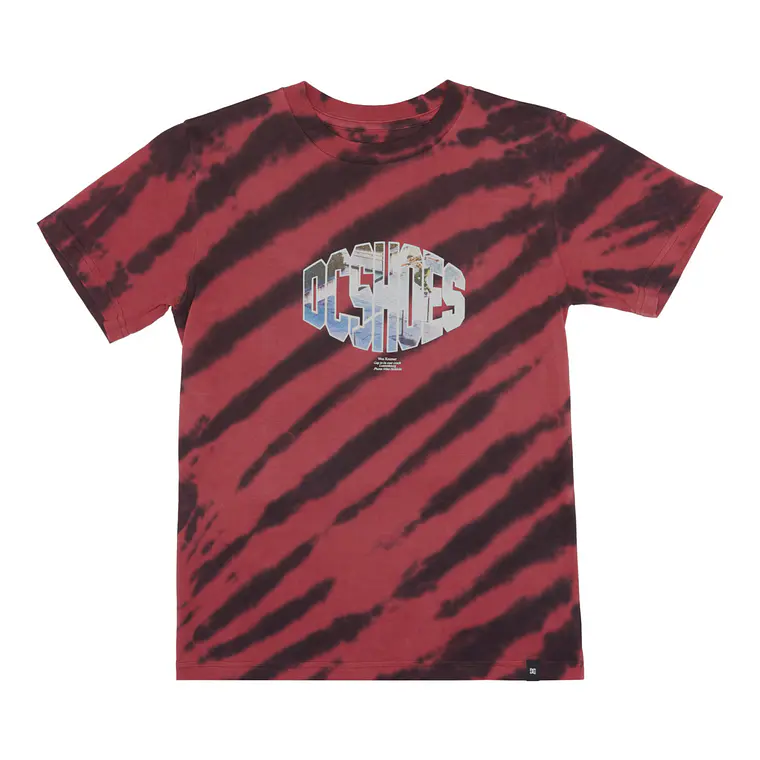 T-Shirt DC Kids Wes Ss Boy 1