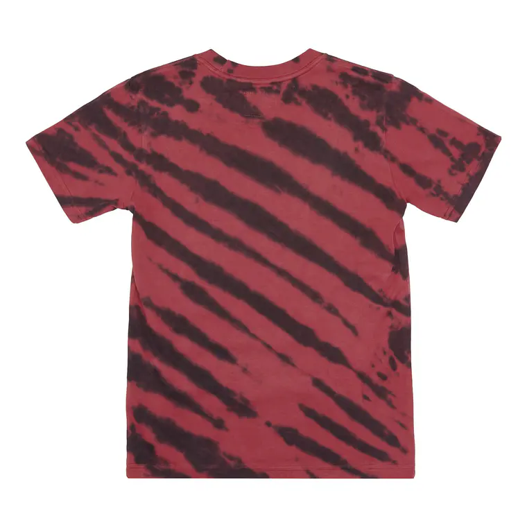 T-Shirt DC Kids Wes Ss Boy 2