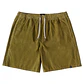 Walkshorts DC Mens Abrupter Short - thumbnail 1
