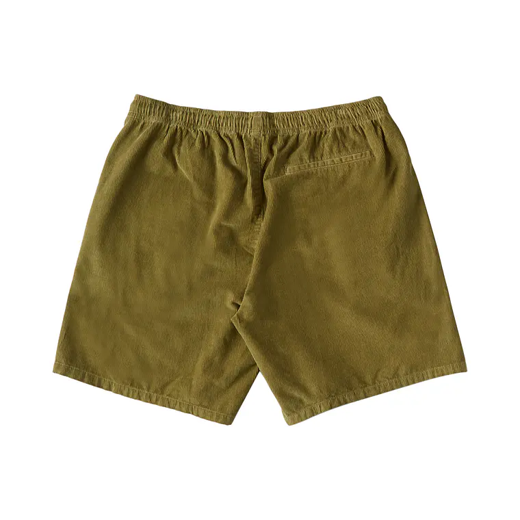 Walkshorts DC Mens Abrupter Short 2