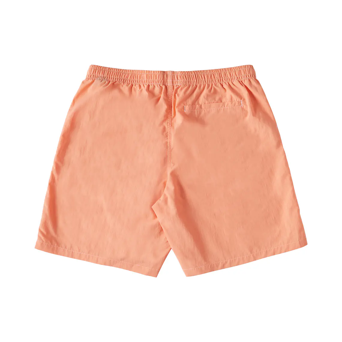 Walkshorts DC Mens Wayford 2