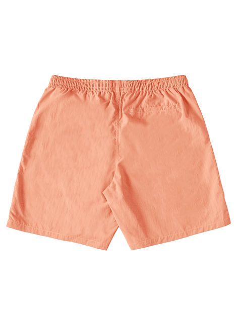 Walkshorts DC Mens Wayford