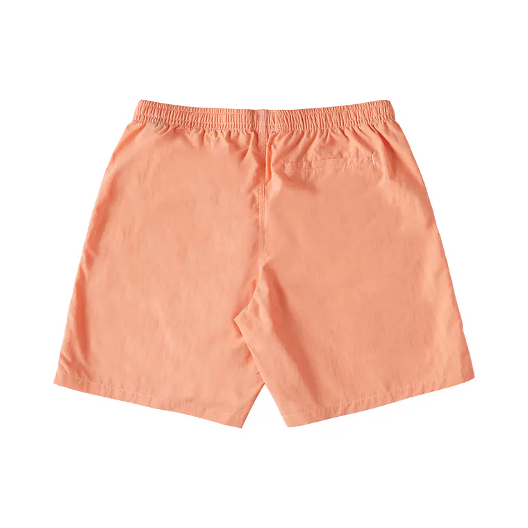 Walkshorts DC Mens Wayford 2