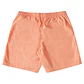 Walkshorts DC Mens Wayford - thumbnail 2