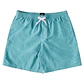 Walkshorts DC Mens Wayford - Thumbnail 1