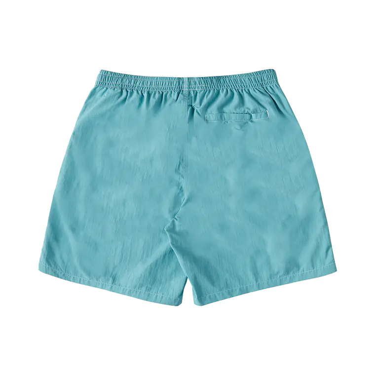Walkshorts DC Mens Wayford 2