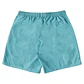 Walkshorts DC Mens Wayford - Thumbnail 2