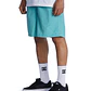 Walkshorts DC Mens Wayford - Thumbnail 4