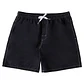 Walkshorts DC Mens Wayford - Thumbnail 1