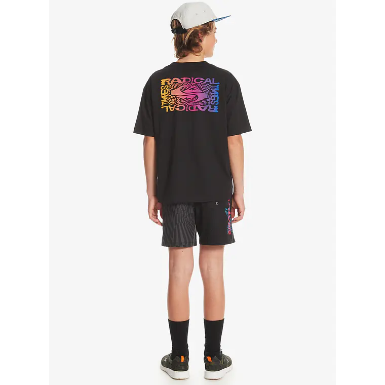 T-Shirt Quiksilver Kids Radical Flag Ss Yth 1