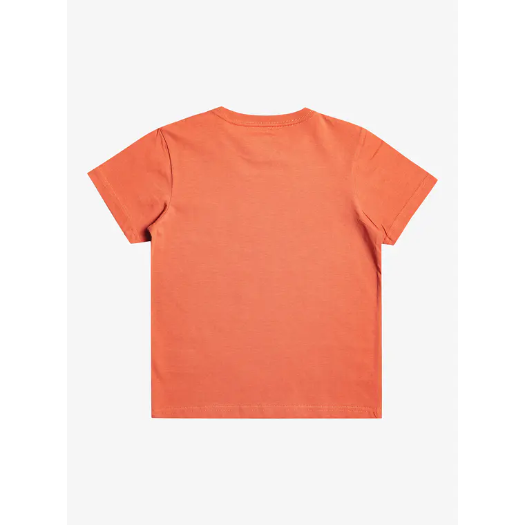T-Shirt Quiksilver Kids At Risks Ss Boy 2