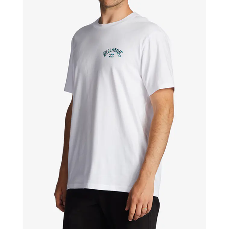 T-Shirt Billabong Arch Fill 3