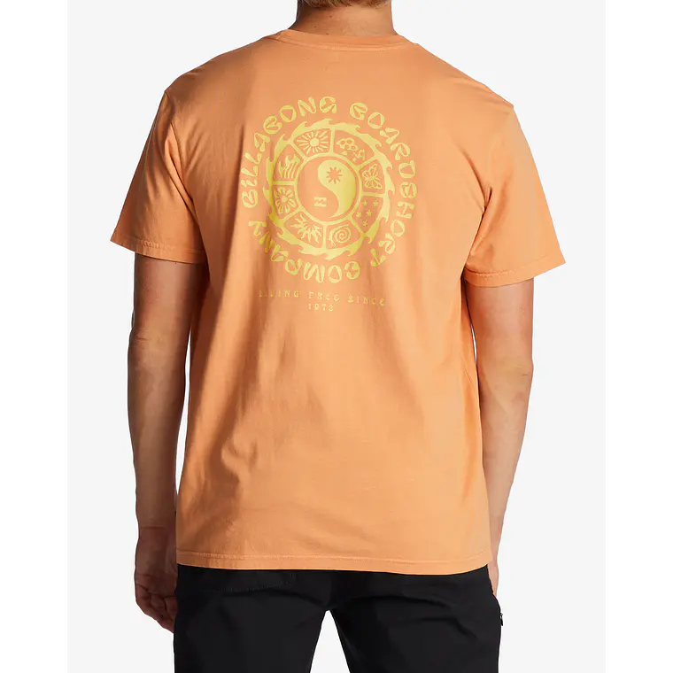 T-Shirt Billabong Connection Wave Washed 1