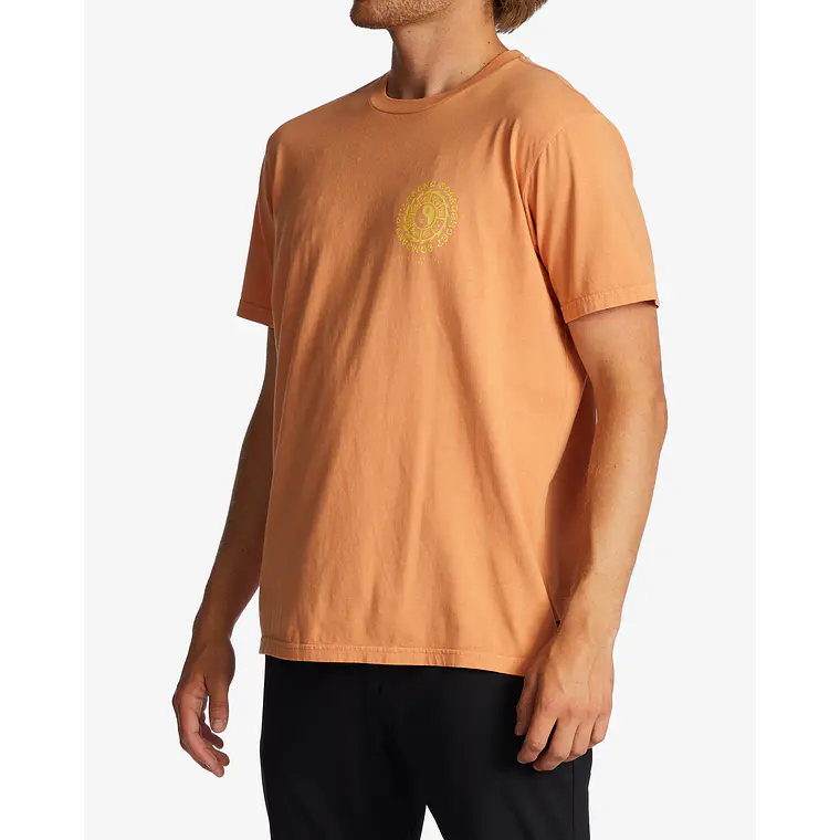 T-Shirt Billabong Connection Wave Washed 2