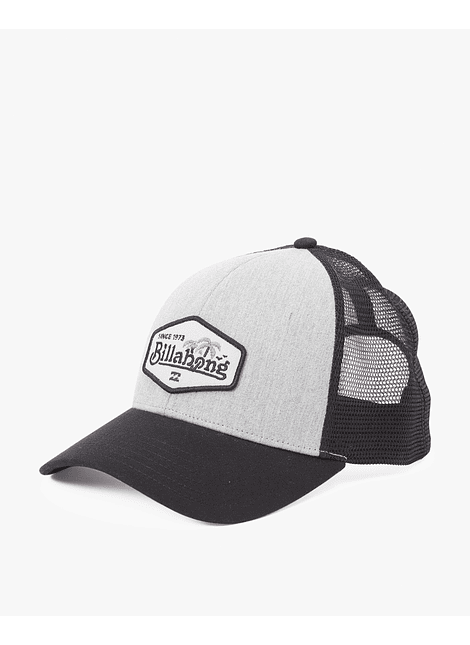 Bone Billabong Walled Trucker