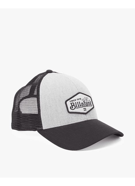 Bone Billabong Walled Trucker