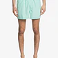 Volleys Quiksilver Mens Everyday Volley 15 - Thumbnail 1