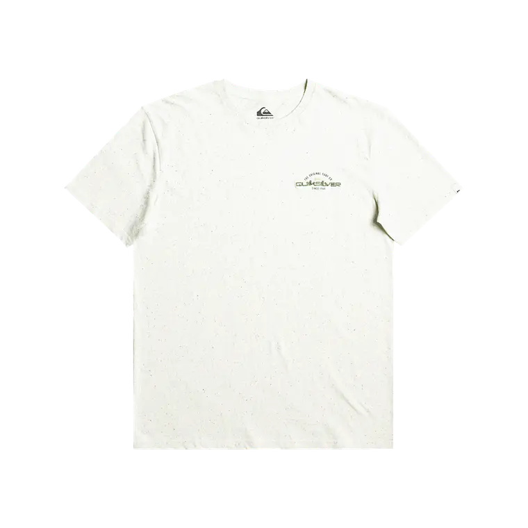 T-Shirt Quiksilver Mens Arched Type Ss 1