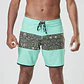 Boardshorts Picture Mens Andy 17 Brds - Thumbnail 1