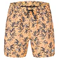 Boardshorts Picture Mens Piau 15 Brds - thumbnail 2