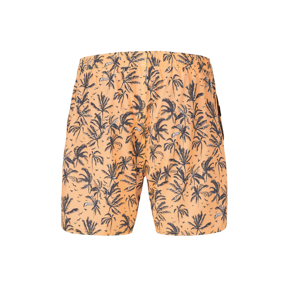 Boardshorts Picture Mens Piau 15 Brds 3