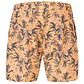 Boardshorts Picture Mens Piau 15 Brds - thumbnail 3