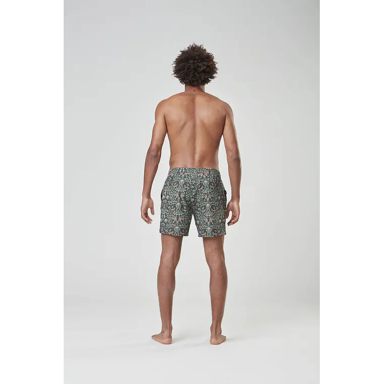 Boardshorts Picture Mens Piau 15 Brds 4