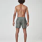 Boardshorts Picture Mens Piau 15 Brds - thumbnail 4