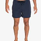 Volleys Quiksilver Mens Everyday Volley 15 - thumbnail 1