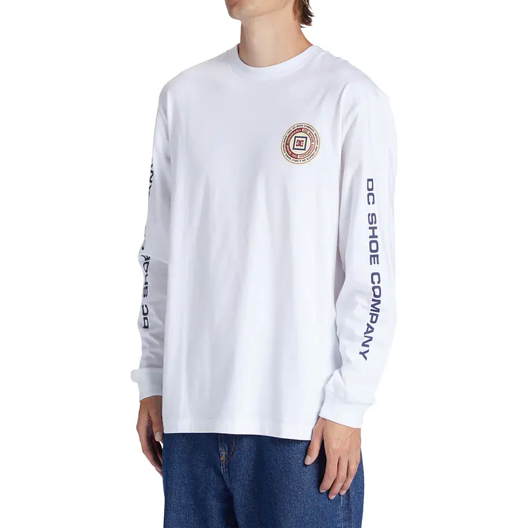 Longsleeve DC Mens Old Head Hls 3