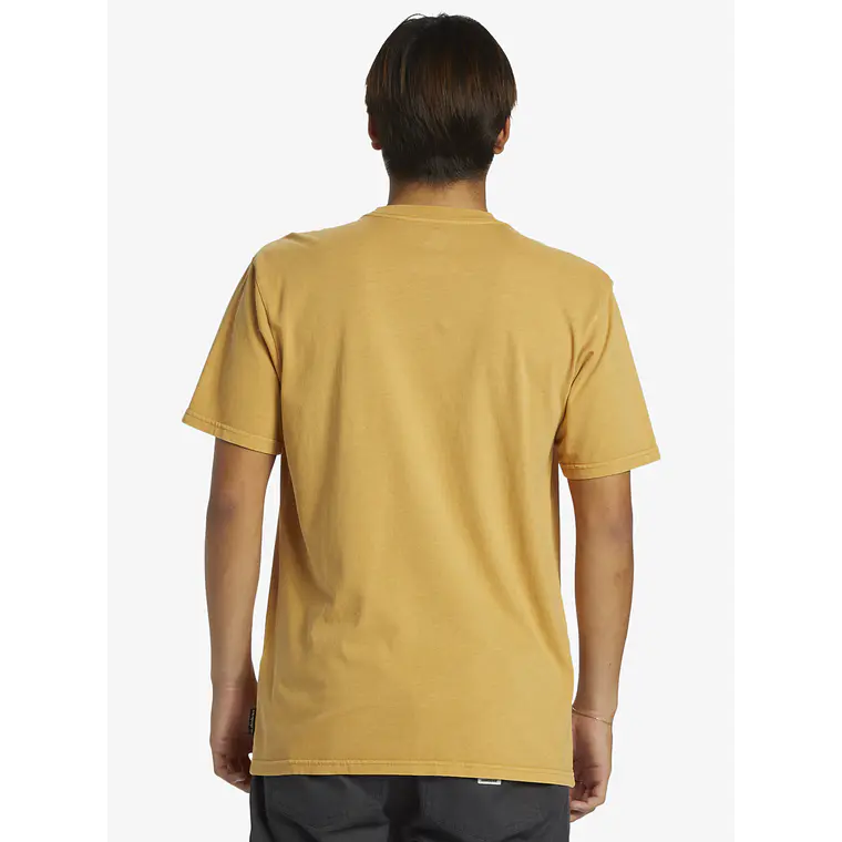 T-Shirt Quiksilver Mens Salt Water Pkt Tee 2