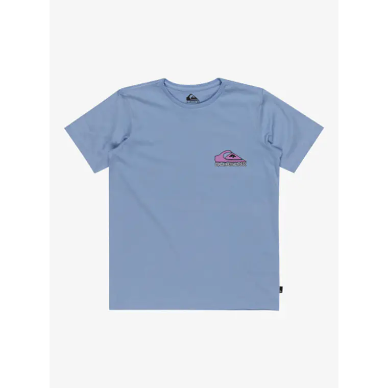 T-Shirt Quiksilver Kids Take Us Back Logo Ss Yth 1