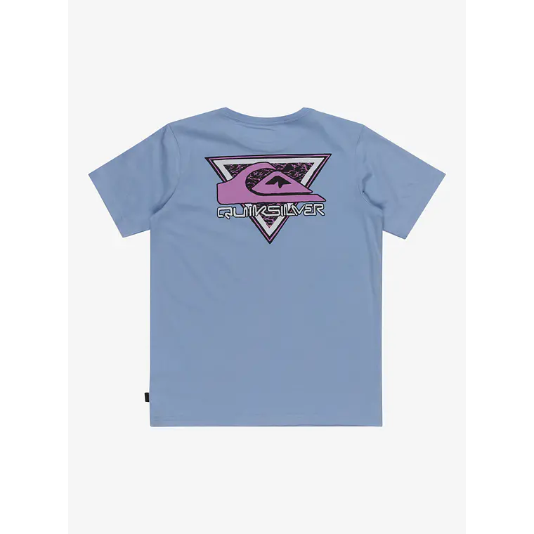 T-Shirt Quiksilver Kids Take Us Back Logo Ss Yth 2