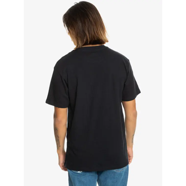T-Shirt Quiksilver Mens Riding Today Ss 2
