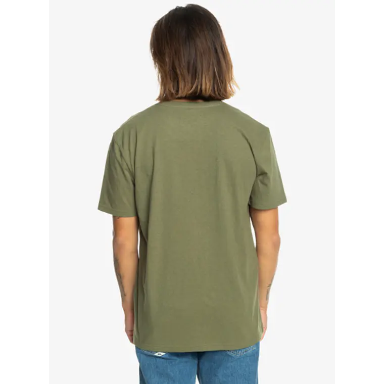 T-Shirt Quiksilver Mens Arched Type Ss 2