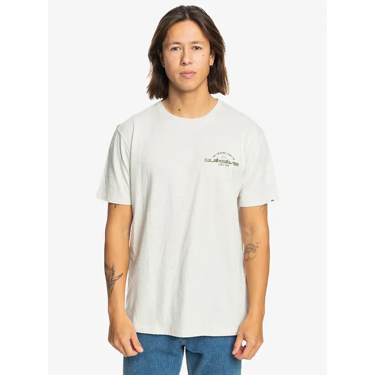T-Shirt Quiksilver Mens Arched Type Ss 1